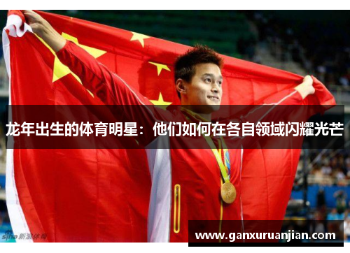 龙年出生的体育明星:他们如何在各自领域闪耀光芒 龙年出生的体育明星:他们如何在各自领域闪耀光芒