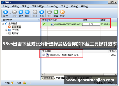 55vs迅雷下载对比分析选择最适合你的下载工具提升效率